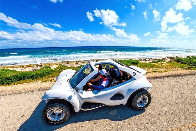 Private Dune Buggy & Snorkel Tour: All-Inclusive - Customer Reviews