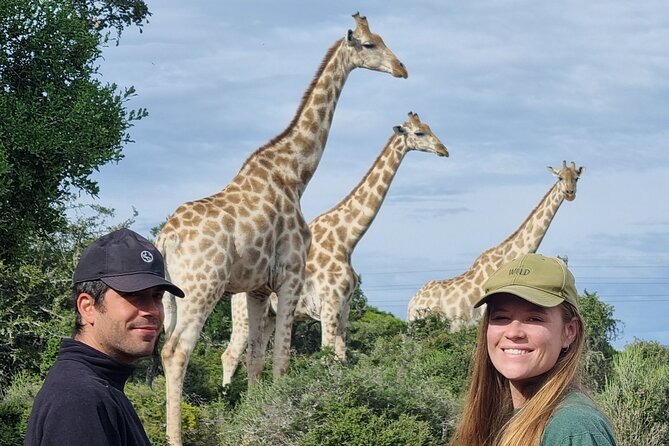 Private Full-Day Addo Elephant Park & Giraffe Walk Safari - Wildlife Encounters