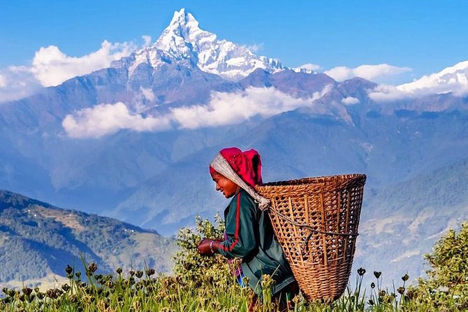 Private Full-Day Hike in the Annapurna Foothills in Pokhara - Traveler Feedback