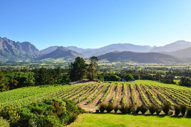 Private Full-Day Stellenbosch Wine Tour - Reviews and Ratings