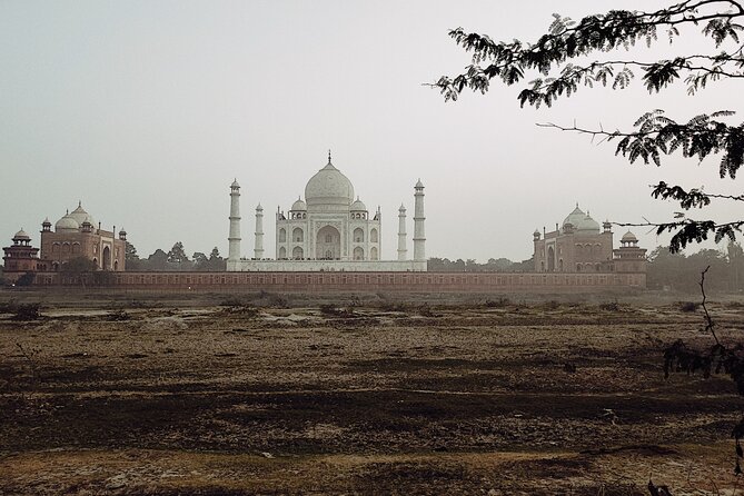 Private Full-Day Taj Mahal and Agra Fort Tour From New Delhi - Meeting, Pickup, and Entry Information