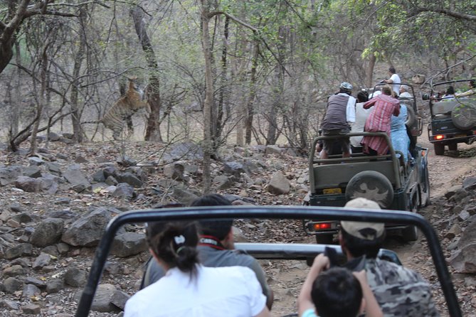 Private Full Day Trip to Ranthambore - Itinerary