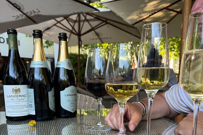 Private Full Day Wine Tour: Stellenbosch and Franschhoek & Paarl - Wine Tasting Experiences
