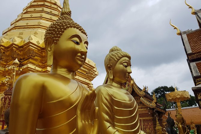 Private Guide: Doi Suthep and Wat Pha Lat Tour - Itinerary Details