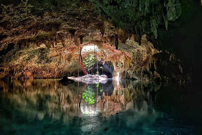 Private Guided Cenotes and Underground River Exploration - Traveler Testimonials and Reviews
