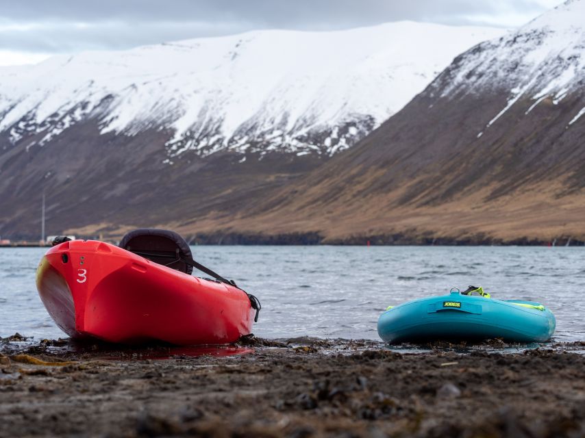 Private: Guided Kayak Tour in Siglufjörður / Siglufjordur. - Experience Highlights