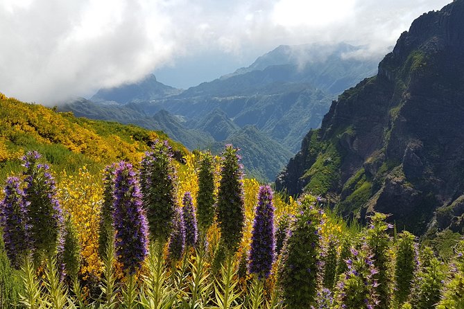 Private Guided Sunrise Pico Areeiro – Pico Ruivo Walk - Expectations and Requirements