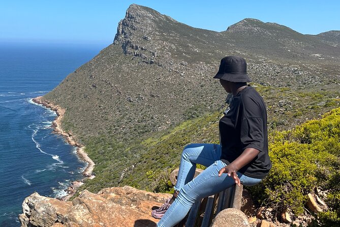 Private Guided Tour in Cape of Good Hope and Table Mountain - Itinerary Overview