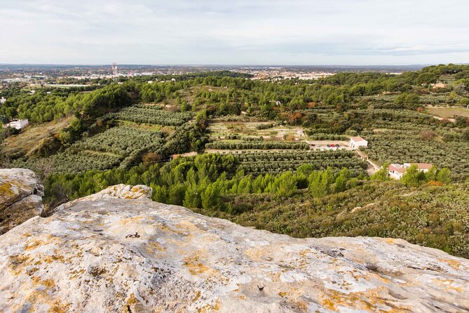 Private Guided Tour, Olive Oil Estate in Salon De Provence. - Booking Information