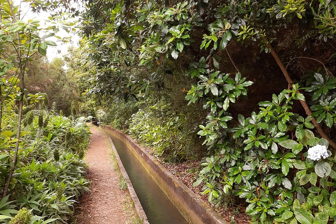 Private Guided Walk Levada Faja Dos Rodrigues Half-Day - Itinerary Highlights