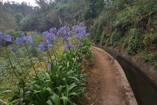 Private Guided Walk Levada Monte to Palheiro Ferreiro - Route Description