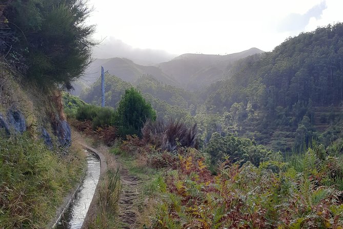 Private Guided Walk Levada Ponta Do Pargo - Booking Information