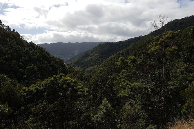 Private Guided Walk Vereda Do Larano - What to Expect During the Walk