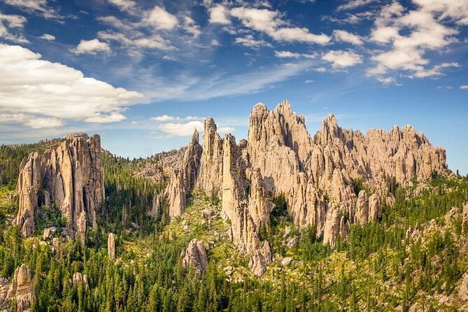 Private Half Day Mt Rushmore & Black Hills Tour - Weather Contingency