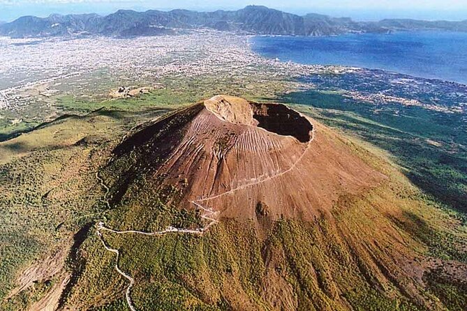 Private Half-Day Sightseeing Tour of Vesuvius National Park - Meeting and Pickup Logistics