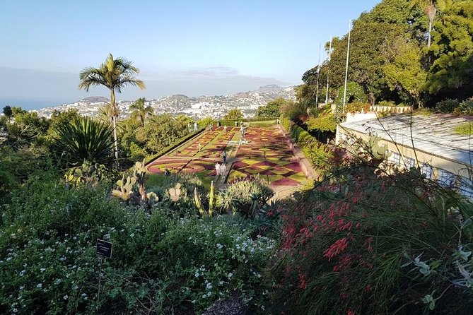 Private Halfday Madeira Garden Tour - Tour Overview and Inclusions