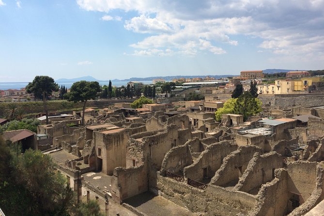 Private Herculaneum Guided Tour With an Archeologist - Booking Details and Cancellation Policy