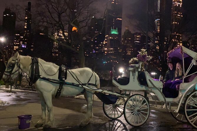 Private Horse-Drawn Carriage Ride of New York City - Inclusions and Amenities