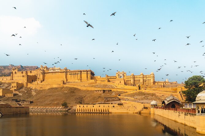 Private Jaipur ( Pink City ) Tour From Delhi by Car - Tour Inclusions