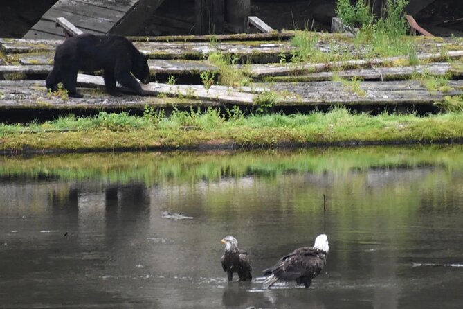 Private Ketchikan City Totems & Wildlife Van Tour - Totem Pole Stories