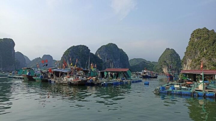 Private Lan Ha Bay Day Cruise From Hanoi With a Local Guide - Tour Information