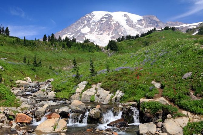 Private Mt Rainier National Park Day Trip From Seattle - Booking Information