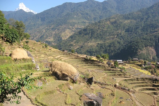 Private Multi Day Nepal Poon Hill Trekking Tour - Itinerary Overview