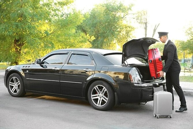 Private One Way Airport Transfer (Malaga Airport To/From Malaga) - Location and Transportation Details