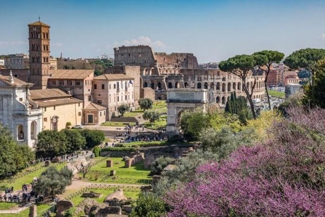 Private Piazzas of Rome Tour With Colosseum & Roman Forum - Meeting Point Details