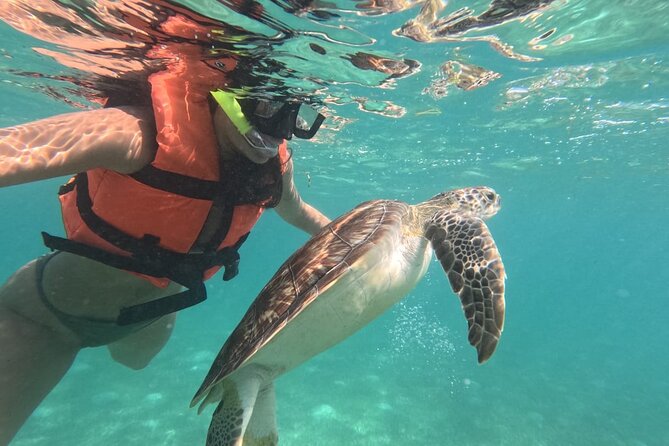 Private Snorkeling With Sea Turtles in Akumal Beach - Customer Reviews