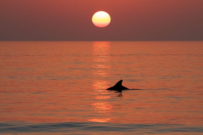 Private Sunset Cruise and Dolphin Sighting in Destin - Traveler Reviews and Feedback
