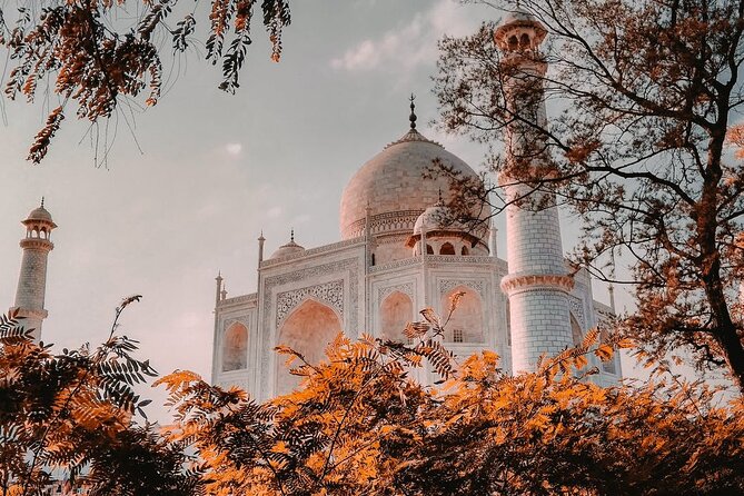 Private Taj Mahal and Agra Full-Day Tour From Delhi - Pickup Locations