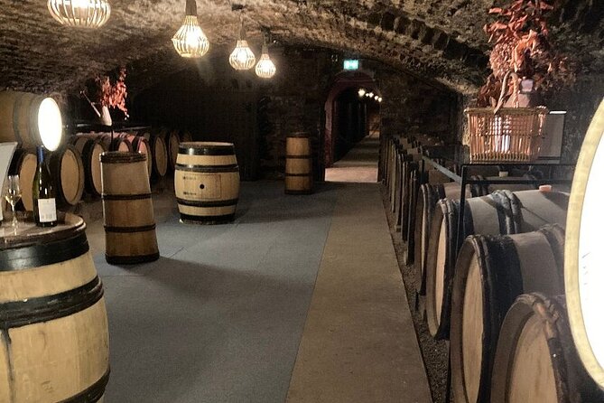 Private Tasting Day Tour From Paris to Beaune - Tasting Experiences