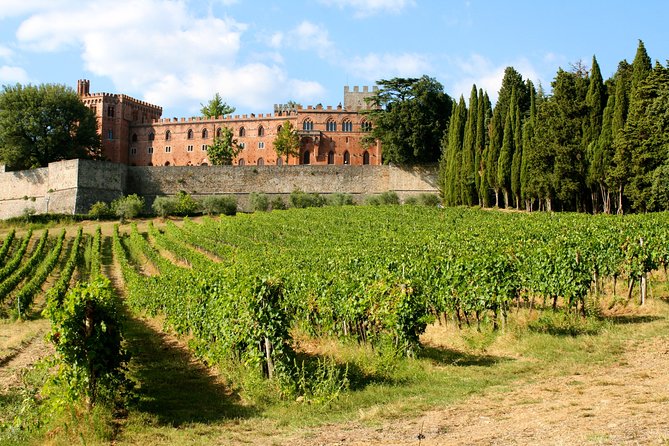 Private Tour and Wine Tasting at Castle-Wineries in Chianti From Florence - Support and Assistance