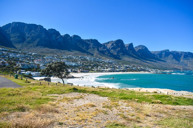 Private Tour: Cape of Good Hope & Boulders Beach Penguin Colony - Customer Reviews and Ratings