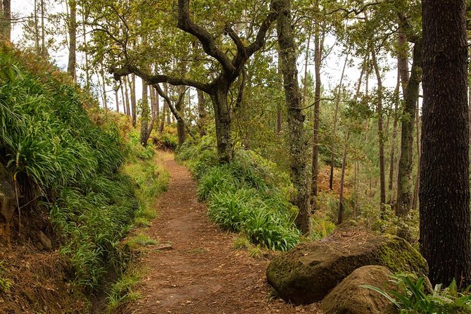 Private Tour: Combo Expedition (Jeep Tour & Levada Walk) - Full Day Tour - End Point Details