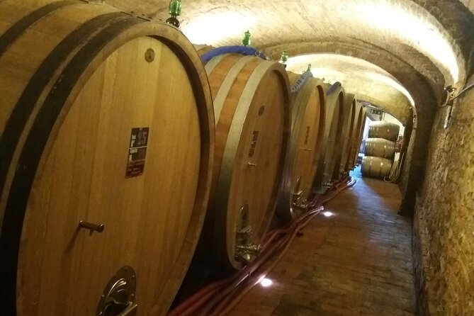 Private Tour in San Gimignano and Chianti Day Trip From Florence - Local Guide Insights