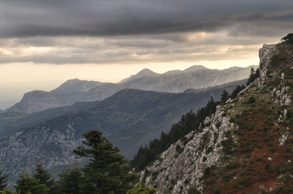 Private Tour in the Chestnut Forest of Steni Evia - Itinerary Highlights