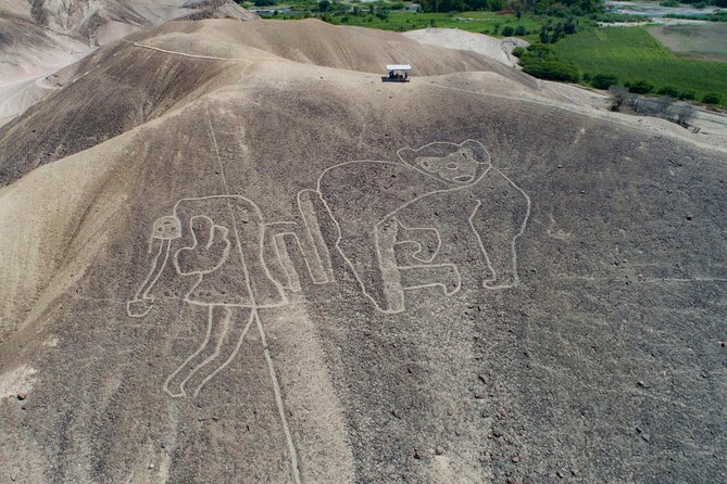 Private Tour Miradores Palpa Nazca With Nazca Lines Overflight - Itinerary Details