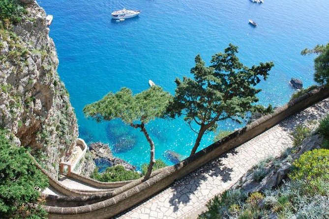 Private Tour of Capri and Anacapri From Sorrento - Customer Reviews