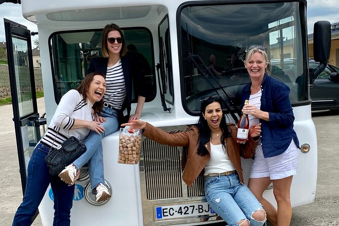 Private Tour of Epernay and Vineyards by Bus With Champagne - Customer Support Channels