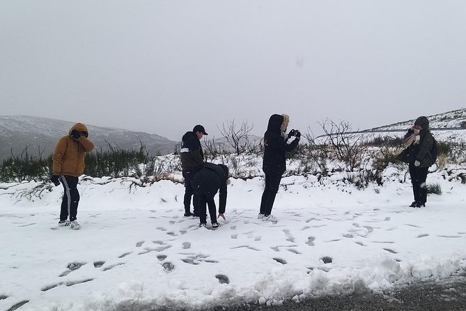 Private Tour Through Serra Da Estrela Park and Its Famous Cheese - Tour Details and Itinerary