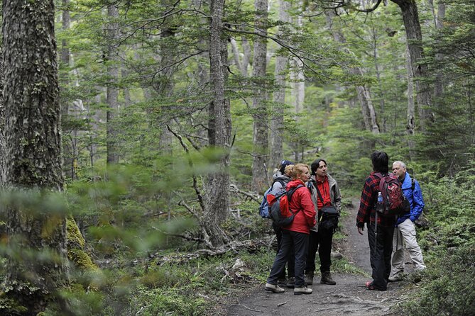 Private Tour: Tierra Del Fuego National Park Trekking & Canoeing in Lapataia Bay - Canoeing Adventure