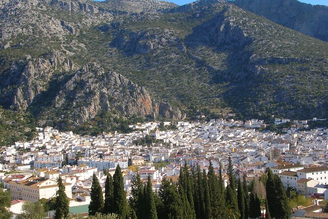 Private Tour to Arcos De La Frontera, El Bosque and Ubrique From Cadiz - Explore Arcos De La Frontera