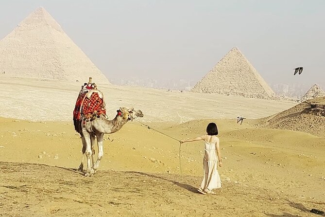 Private Tour to Cairo From Hurghada Pyramids & Sphinx & Museum - Booking Information