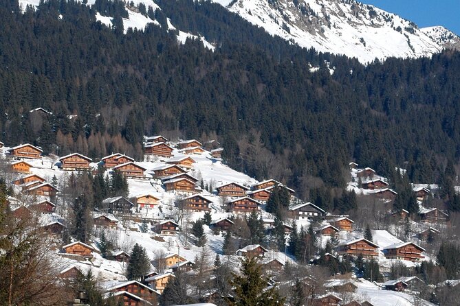Private Tour to Les Diablerets and Montreux - Whats Included