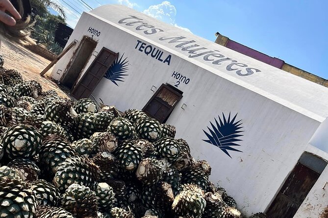 Private Tour to Tequila Unique Experience Price Groups of up to 4 - Refund Policy Information
