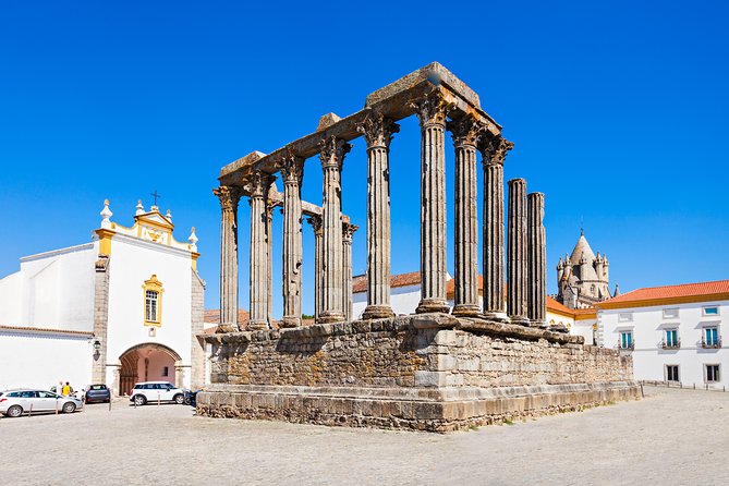 Private Tour Wine (region Évora) Wine Tasting - Accessibility Information