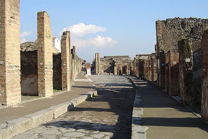 Private Transfer From Naples to Sorrento With Tour of Pompeii Ruins - Product Details