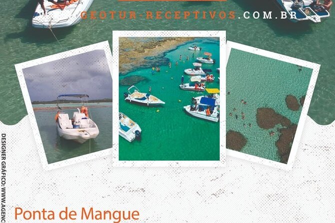 Private Transfer Maragogi to Recife From 01 to 06 Pax by Geo Tur Receptives - Customer Experience